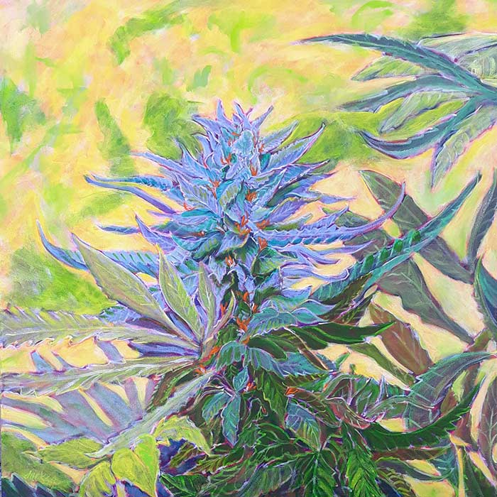 Cannabis Paintings Polly Jackson Fine Artist and educator specializing in Painting, residing