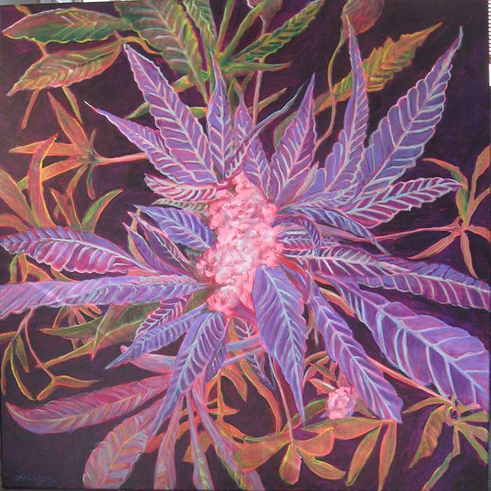Cannabis Paintings Polly Jackson Fine Artist and educator
