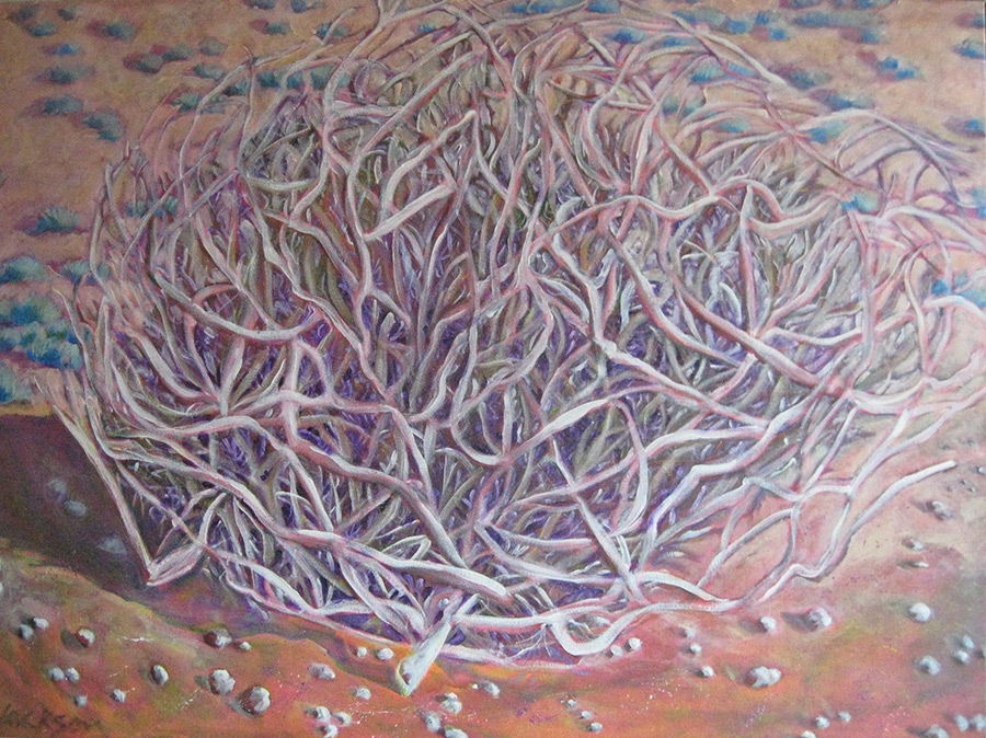 Polly Jackson - Tumbleweed