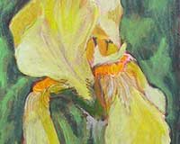 Polly Jackson - Neum's Iris