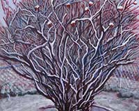 Polly Jackson - Last of the Pomegranates