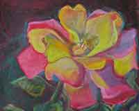 Polly Jackson - New Mexico Rose