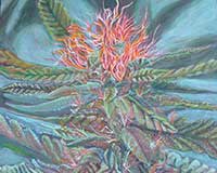 Polly Jackson - GreenLeaf