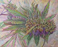 Polly Jackson - Heavy with Bud