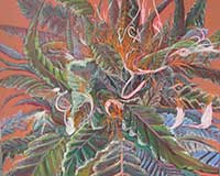 Polly Jackson - Sparkly