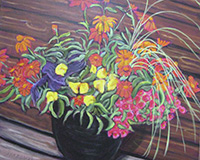 Polly Jackson - Daniela's Favorites