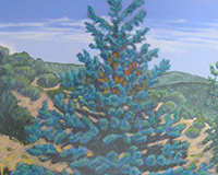 Polly Jackson - Blue Spruce