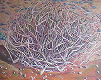 Polly Jackson - Tumbleweed